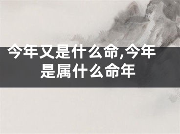 今年又是什么命,今年是属什么命年