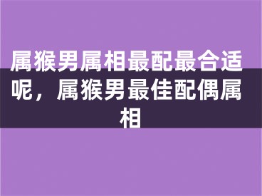 属猴男属相最配最合适呢，属猴男最佳配偶属相
