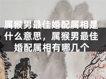 属猴男最佳婚配属相是什么意思,属猴男最佳婚配属相有哪几个