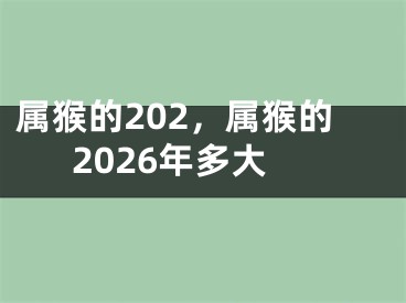 属猴的202，属猴的2026年多大