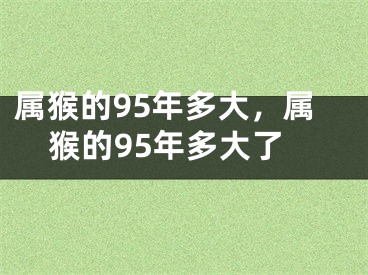 属猴的95年多大,属猴的95年多大了