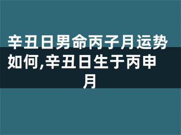 辛丑日男命丙子月运势如何,辛丑日生于丙申月