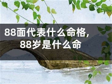 88面代表什么命格,88岁是什么命