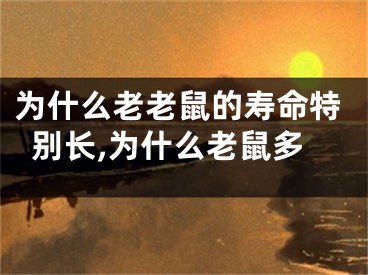 为什么老老鼠的寿命特别长,为什么老鼠多