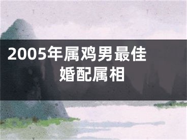 2005年属鸡男最佳婚配属相