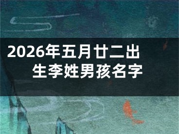 2026年五月廿二出生李姓男孩名字