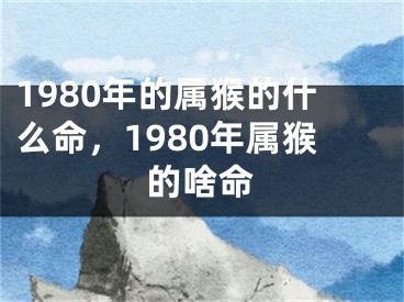 1980年的属猴的什么命,1980年属猴的啥命