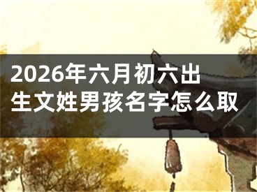 2026年六月初六出生文姓男孩名字怎么取