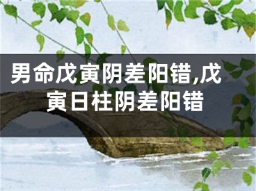 男命戊寅阴差阳错,戊寅日柱阴差阳错