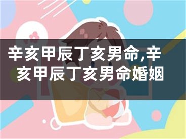 辛亥甲辰丁亥男命,辛亥甲辰丁亥男命婚姻