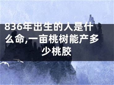 836年出生的人是什么命,一亩桃树能产多少桃胶