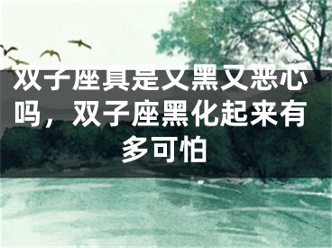 双子座真是又黑又恶心吗，双子座黑化起来有多可怕