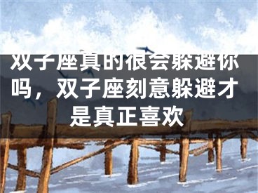 双子座真的很会躲避你吗，双子座刻意躲避才是真正喜欢