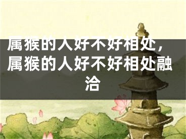属猴的人好不好相处，属猴的人好不好相处融洽