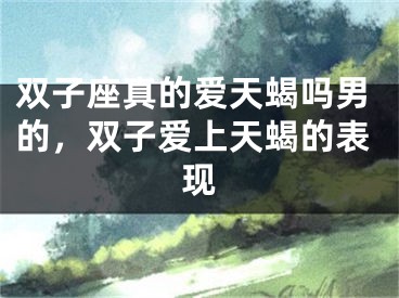双子座真的爱天蝎吗男的，双子爱上天蝎的表现