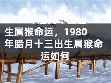 1980年腊月十三出生属猴命运,1980年腊月十三出生属猴命运如何
