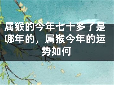 属猴的今年七十多了是哪年的,属猴今年的运势如何