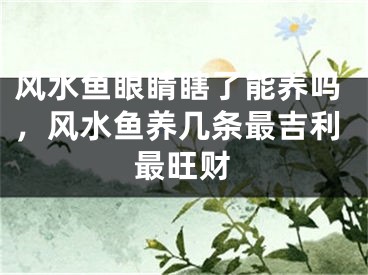 风水鱼眼睛瞎了能养吗，风水鱼养几条最吉利最旺财