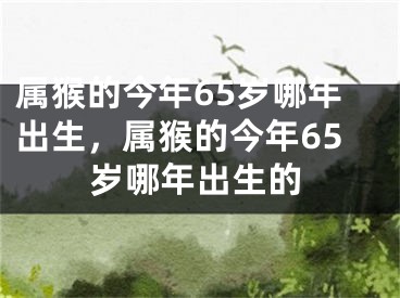 属猴的今年65岁哪年出生，属猴的今年65岁哪年出生的