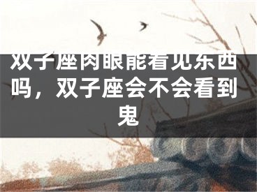 双子座肉眼能看见东西吗，双子座会不会看到鬼