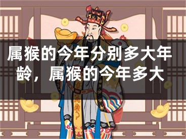 属猴的今年分别多大年龄，属猴的今年多大