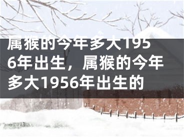属猴的今年多大1956年出生，属猴的今年多大1956年出生的