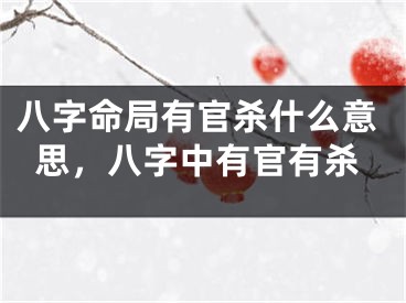 八字命局有官杀什么意思，八字中有官有杀