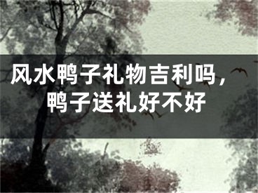 风水鸭子礼物吉利吗，鸭子送礼好不好