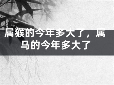 属猴的今年多大了，属马的今年多大了
