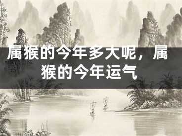 属猴的今年多大呢，属猴的今年运气