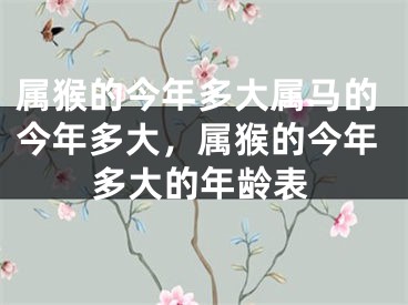 属猴的今年多大属马的今年多大，属猴的今年多大的年龄表