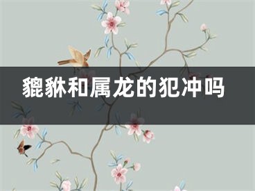 貔貅和属龙的犯冲吗