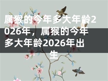 属猴的今年多大年龄2026年，属猴的今年多大年龄2026年出生