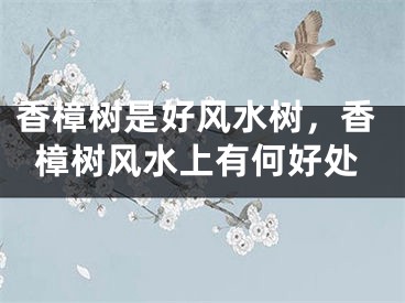 香樟树是好风水树，香樟树风水上有何好处