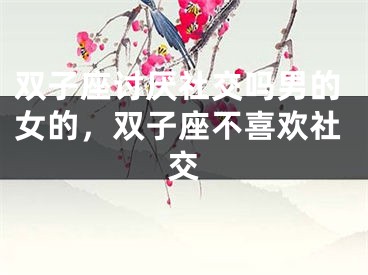 双子座讨厌社交吗男的女的，双子座不喜欢社交