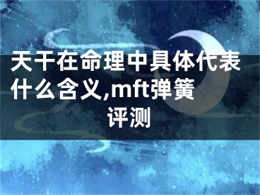 天干在命理中具体代表什么含义,mft弹簧评测