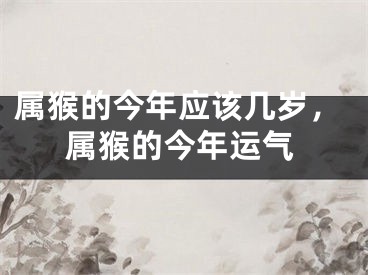 属猴的今年应该几岁,属猴的今年运气