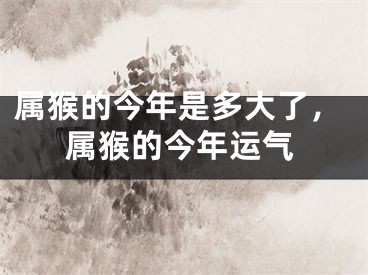 属猴的今年是多大了，属猴的今年运气