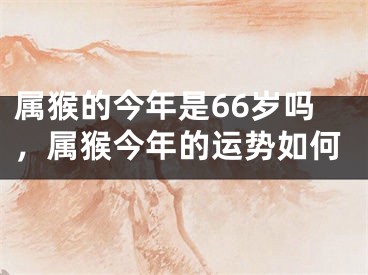 属猴的今年是66岁吗，属猴今年的运势如何