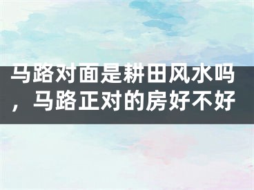马路对面是耕田风水吗，马路正对的房好不好