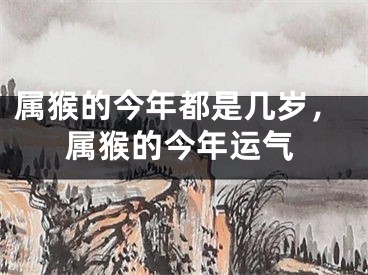 属猴的今年都是几岁,属猴的今年运气