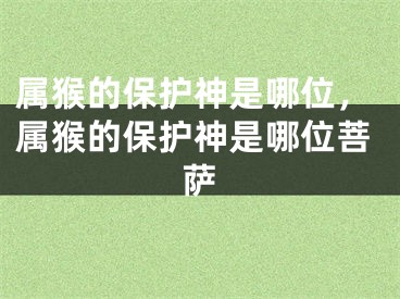 属猴的保护神是哪位，属猴的保护神是哪位菩萨