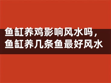 鱼缸养鸡影响风水吗，鱼缸养几条鱼最好风水