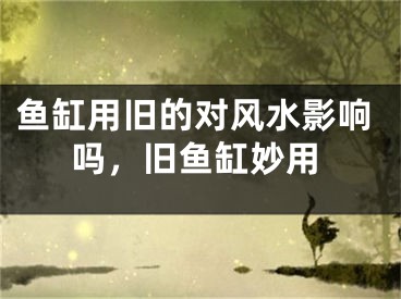 鱼缸用旧的对风水影响吗,旧鱼缸妙用