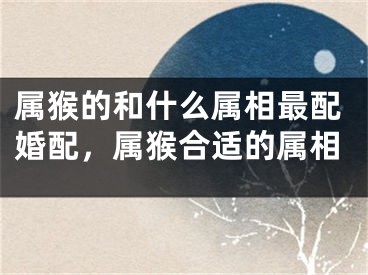 属猴的和什么属相最配婚配，属猴合适的属相
