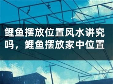 鲤鱼摆放位置风水讲究吗,鲤鱼摆放家中位置