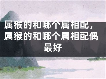 属猴的和哪个属相配，属猴的和哪个属相配偶最好