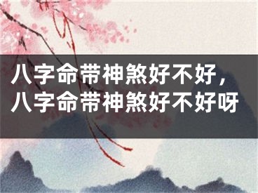 八字命带神煞好不好，八字命带神煞好不好呀