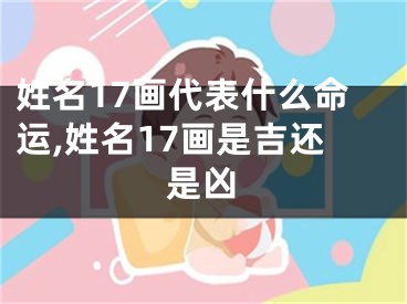 姓名17画代表什么命运,姓名17画是吉还是凶