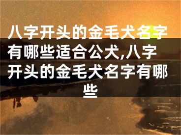 八字开头的金毛犬名字有哪些适合公犬,八字开头的金毛犬名字有哪些